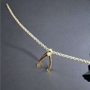 Gold Wishbone Diamond necklace